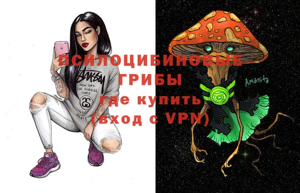 мдма Гусиноозёрск