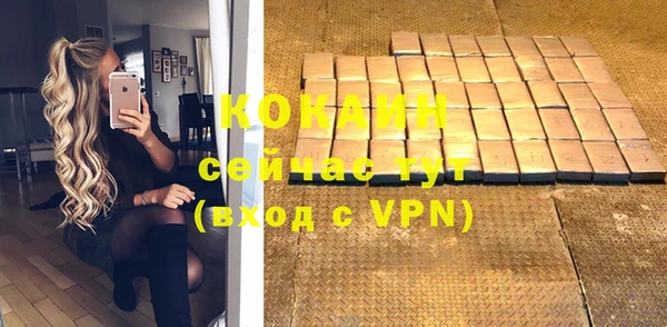 ПСИЛОЦИБИНОВЫЕ ГРИБЫ Гусь-Хрустальный