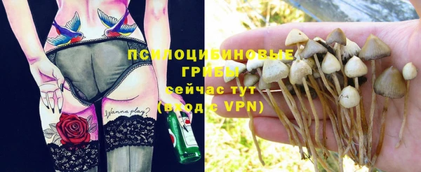 мдма Гусиноозёрск