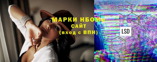 ПСИЛОЦИБИНОВЫЕ ГРИБЫ Гусь-Хрустальный