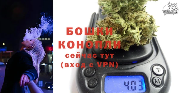 ПСИЛОЦИБИНОВЫЕ ГРИБЫ Гусь-Хрустальный