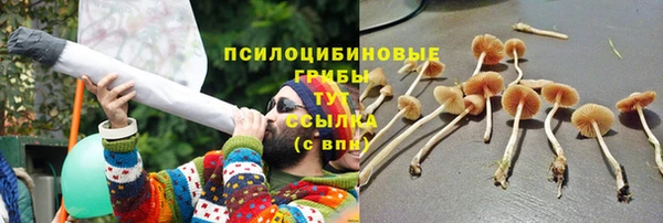 мдма Гусиноозёрск