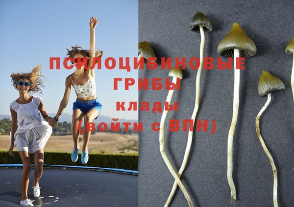 кокаин премиум Гусев