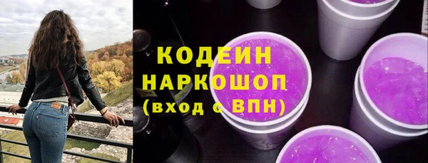 ПСИЛОЦИБИНОВЫЕ ГРИБЫ Гусь-Хрустальный